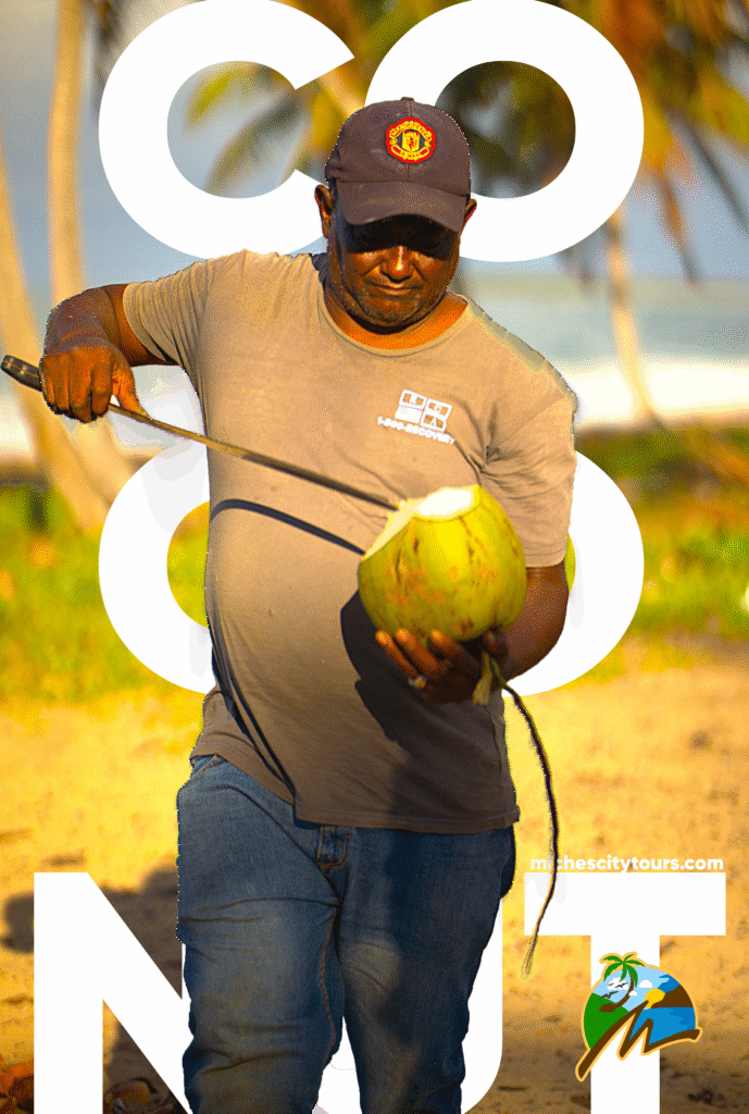 La leyenda del agua de coco en playa limon con Punta Cana city tours and Miches city tours