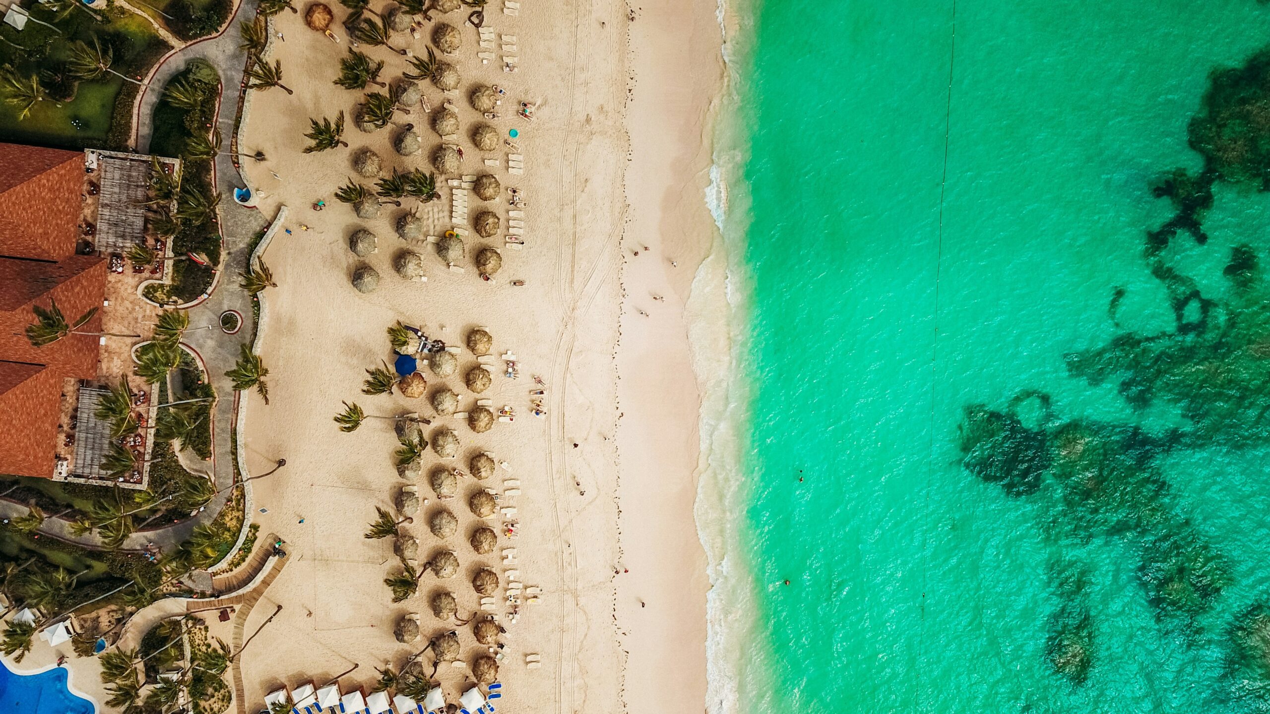When did Punta Cana became popular?