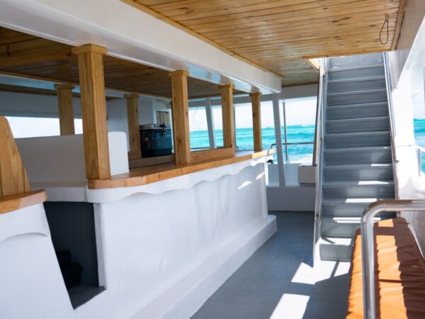 Malibu party boat tour - Image 5