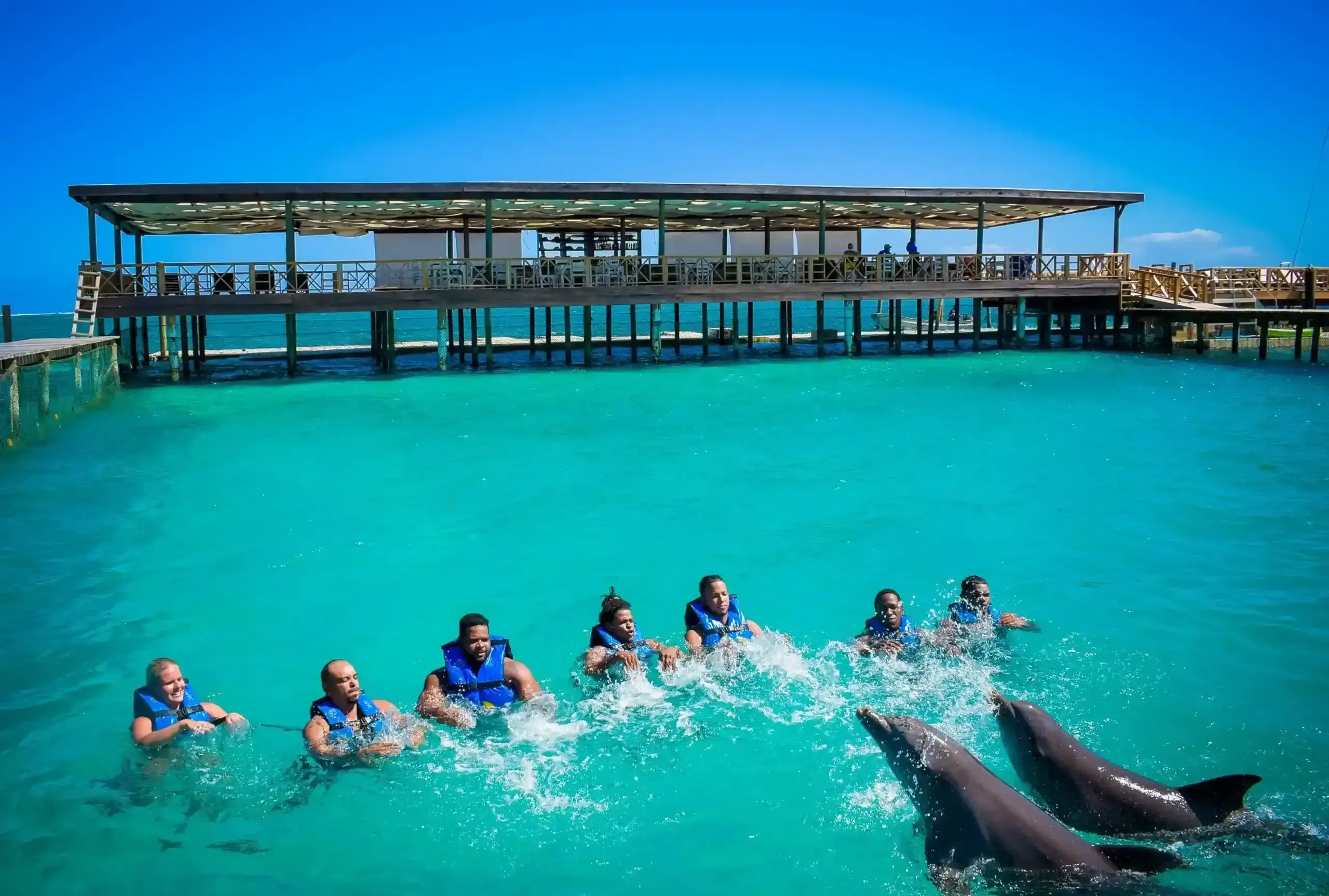 Swim with Dolphins in Punta Cana