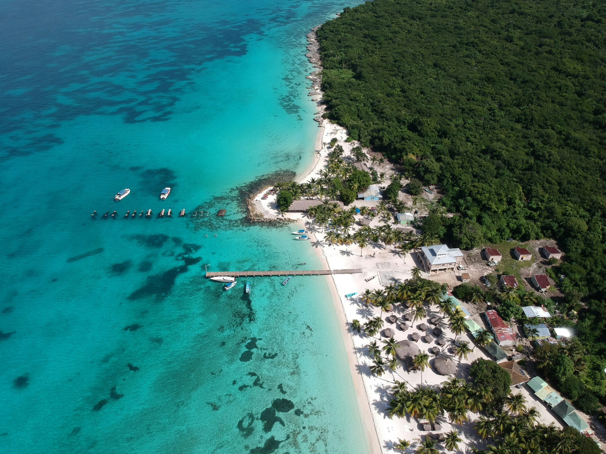 Saona island