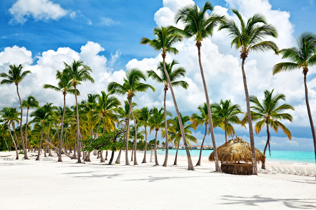 Escape to paradise with our Saona Island Tour, one of the most sought-after experiences offered by Punta Cana City Tours.